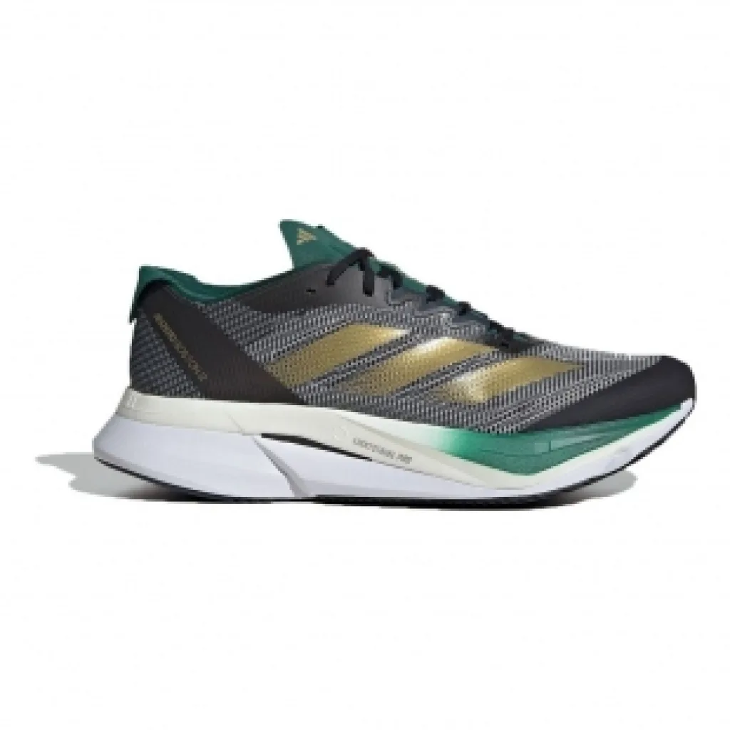 Adidas Adizero Boston 12 W Berlin im Testlauf test