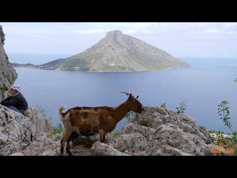 Weltklasse-Klettern auf Kalymnos | Dein nächster Kletter Urlaub